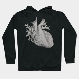 Pen and Ink and Anatomical Heart Illustration Hoodie